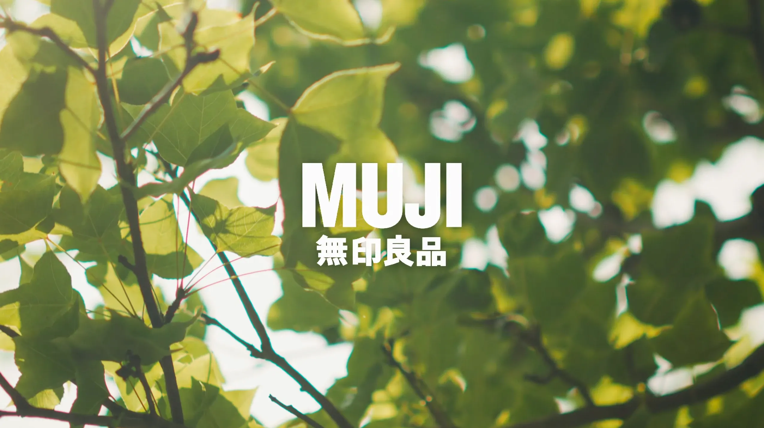 Muji Gangshan 8